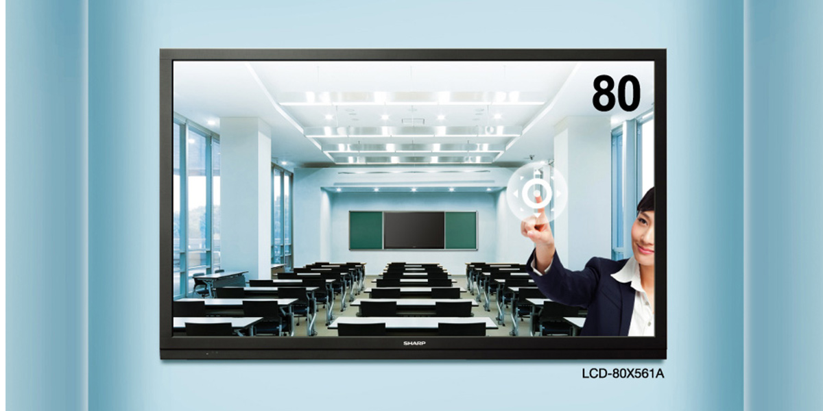 LCD-80X561A